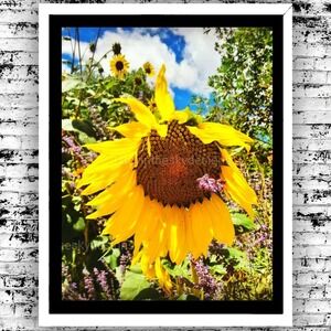 Sunflower Wildflower Landscape Nature Art Print Photography 8.5x11